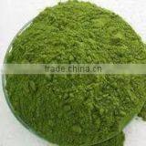 ISO Certified Moringa Leaf Powder Pure Moringa Herbal Powder Bulk Moringa Powder thumbnail-3