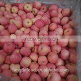 Fresh China New Crop of Fuji Apples/cold Room Goods thumbnail-3