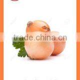 Export China Fresh Organic New Crop Red and Yellow Onion thumbnail-6
