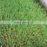 Seed Sprouter Trays/hydroponic Trays/plastic Seedling Tray for Sale thumbnail-1