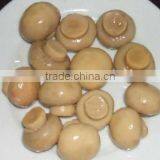 canned whole button mushroom best canned mushrooms canned mushroom brands