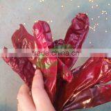 2015 Dry Sweet Pepper thumbnail-3