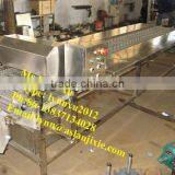 Chicken Feet Paw Cutting Machine /belt Model Chicken Feet Cutter