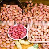 China Good Quality Oil Extractor Peanuts thumbnail-2