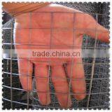 1x1 Galvanized Welded Wire Mesh thumbnail-1