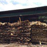 Лесопилка с дизельным двигателем и электродвигателем высокого качества thumbnail-3