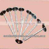 Corrugated Nails thumbnail-1