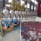Hot Selling Full Automatic Sweet Potato Processing Machine thumbnail-1