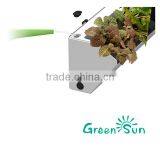 GreenSun Vertical Garden Green Wall/Living Wall,indoor and Outdoor Use thumbnail-6