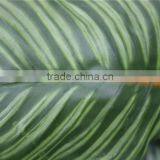 Artificial Bonsai Plants Artificial Zebra Evergreen Bonsai Decor thumbnail-2