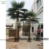 Garden/landscaping/home Decorative Indoor Palm Trees thumbnail-6