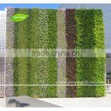 GNW GLW029 Goods for the Garden Plants Modular Wall Systems for Home Decoration