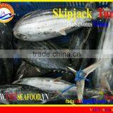 W/R FROZEN SKIPJACK TUNA thumbnail-1