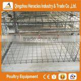 Heracles Factory Price Poultry Farming Equipment H Type Chicken Layer Cage for Sale thumbnail-5