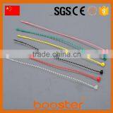 Mother of Pearl-shaped Buckle