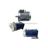 Brushless DC Motor For Electric Vehicle