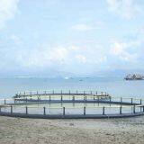 Anti-oxidant Net Cage Fish Farming Aqua Cage Fisheries thumbnail-2