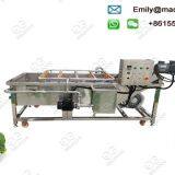 Broccoli Florets Washing Machine Price thumbnail-1