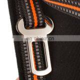 Wholesale Custom Designer Reflective Rope Nylon Metal Hook Pet Dog Leash thumbnail-6