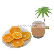 Green Cocktail Umbrellas for Drinks, Paper Parasol Picks Perfect for Drink, Umbrellas for Drinks Wedding Party