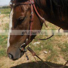 Best Selling Brown Western Saddle Halter Pet Equestrian Leather Horse Head Collar thumbnail-5