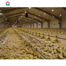 Chicken Farm Building House Shed thumbnail-2