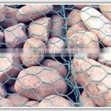 gabion mesh