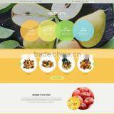Best Website Design 2015