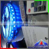 Best Price!Waterproof Optional LED Flexible Strip Epistar RGB Led Strip 5050 IP68 With 2 Years Warranty thumbnail-4