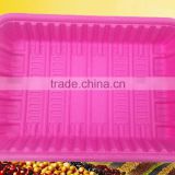 biodegradable disposable corn starch 8.5" inch food tray
