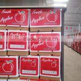 High Grade Qinguan Apples thumbnail-1