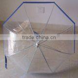 Children's Dome Umbrella