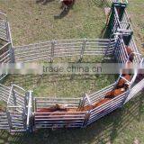 Super Quality Oval Square Round Pipe Hot Dipped Galvanized Cattle Panels ,cattle Yard/,animal Panels With Gates