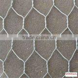 ISO Factory Cheap Price Tree Guard Hexagonal Wire Mesh