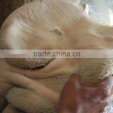 Meat-Frozen Tripe thumbnail-1