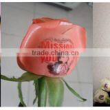 Flower Printers With PC Touch Screen Display Smart Operation thumbnail-5