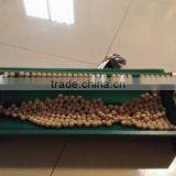 China Manufacturer Beads String Machine