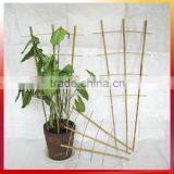 Using Support Plant and Flower Little Bamboo Hoop thumbnail-1