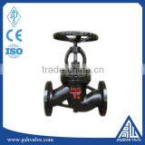 J41T Cast Iron Globe Valve
