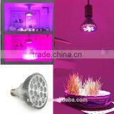 Newest Popular 7w Chip Led Grow Light thumbnail-3