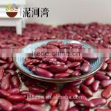 Polished hand pick selected Dark red kidney bean for cannery