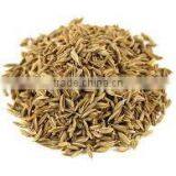 Indian Testy Whole Spices - Whole Large Cumin (Jeera) thumbnail-6
