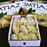 Wonderful MANGO in Marvelous PACKING