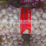 chinese fresh garlic 10kg bag