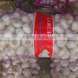 Chinese Fresh Garlic 10kg Bag thumbnail-1