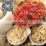 Professional Farms Goji--2015 New Crop thumbnail-2