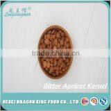 2016 Chinese New Crop Bitter Apricot Kernels Out of Shell is Ready for You thumbnail-1