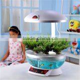 Wall Hanging Fish Tank thumbnail-5