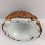 COCONUT FRUIT MAGNET RESIN 3D FRIDGE MAGNET SOUVENIR thumbnail-5