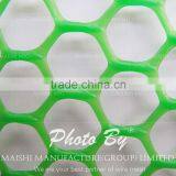 Extruded Plastic Net thumbnail-3